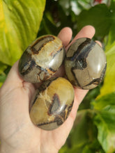 Charger l'image dans la galerie, Septaria • Galets