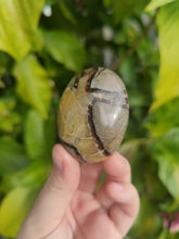 Charger l'image dans la galerie, Septaria • Galets
