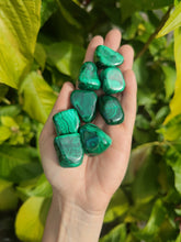 Charger l'image dans la galerie, Malachite
