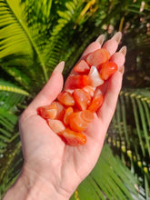 Charger l'image dans la galerie, Cornaline