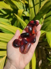 Charger l'image dans la galerie, Ambre