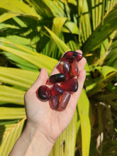 Charger l'image dans la galerie, Ambre