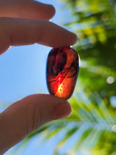 Charger l'image dans la galerie, Ambre