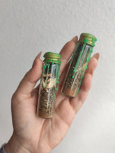 Charger l'image dans la galerie, Fiole de prospérité | Spell jar