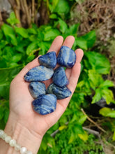 Charger l'image dans la galerie, Sodalite