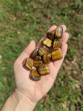 Charger l'image dans la galerie, Œil de Tigre