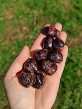 Charger l'image dans la galerie, Grenat