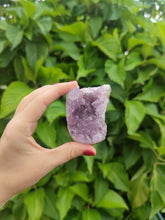 Charger l'image dans la galerie, Druses d'améthyste