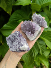 Charger l'image dans la galerie, Druses d'améthyste