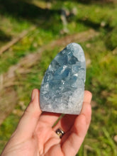 Charger l'image dans la galerie, Celestine