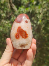 Charger l'image dans la galerie, Cornaline • Forme Polie