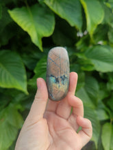Charger l'image dans la galerie, Labradorite • Galets
