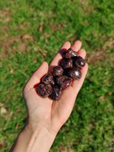 Charger l'image dans la galerie, Grenat