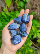 Charger l'image dans la galerie, Sodalite