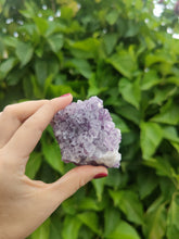 Charger l'image dans la galerie, Druses d'améthyste