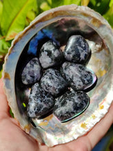 Charger l'image dans la galerie, Gabbro