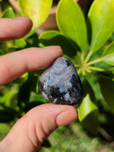 Charger l'image dans la galerie, Gabbro