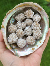 Charger l'image dans la galerie, Rose des sables (petite)