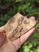 Charger l'image dans la galerie, Jaspe Léopard