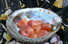 Charger l'image dans la galerie, Cornaline