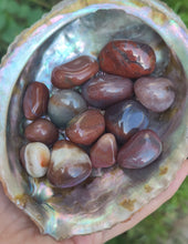 Charger l'image dans la galerie, Jaspe Fancy
