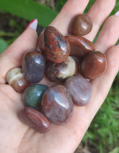 Charger l'image dans la galerie, Jaspe Fancy