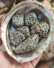 Charger l'image dans la galerie, Jaspe dalmatien