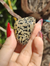 Charger l'image dans la galerie, Jaspe dalmatien