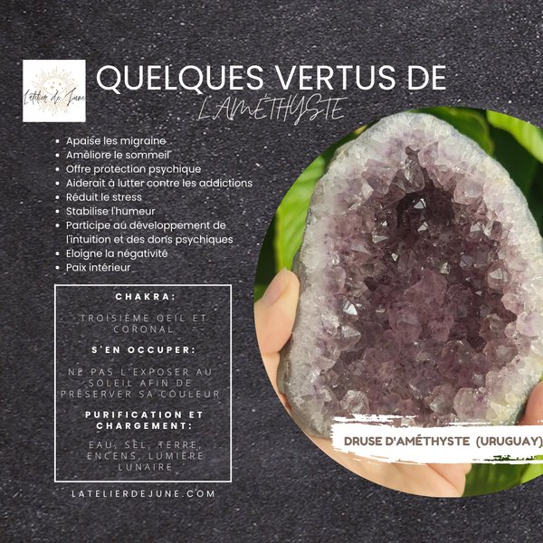 Quelques Vertus