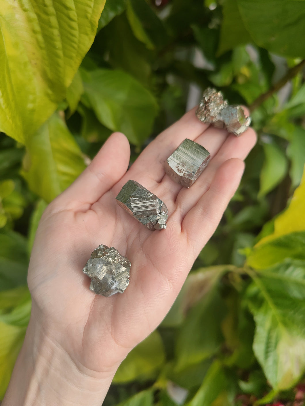 Pyrite