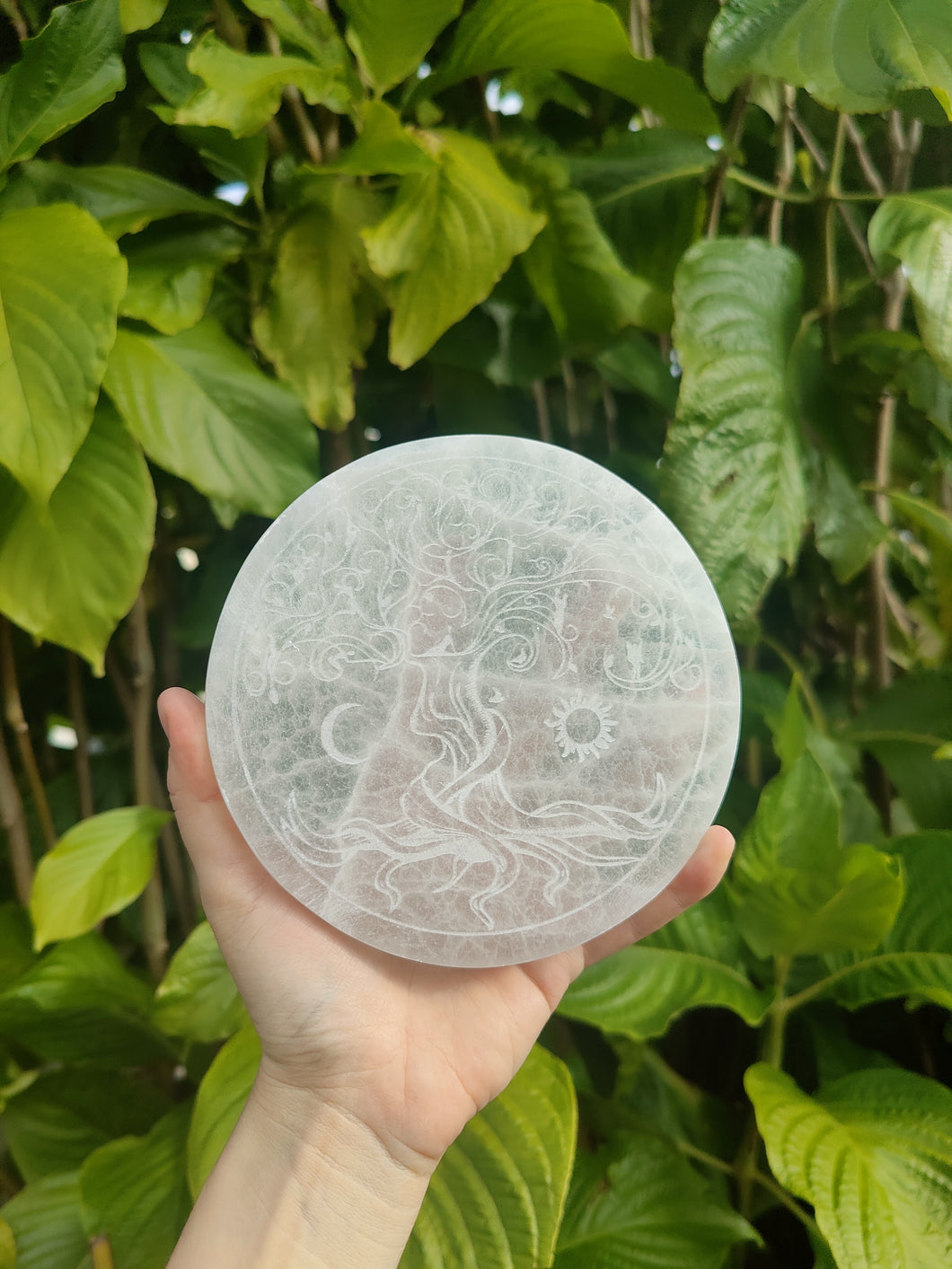 Disque Selenite • Arbre de vie