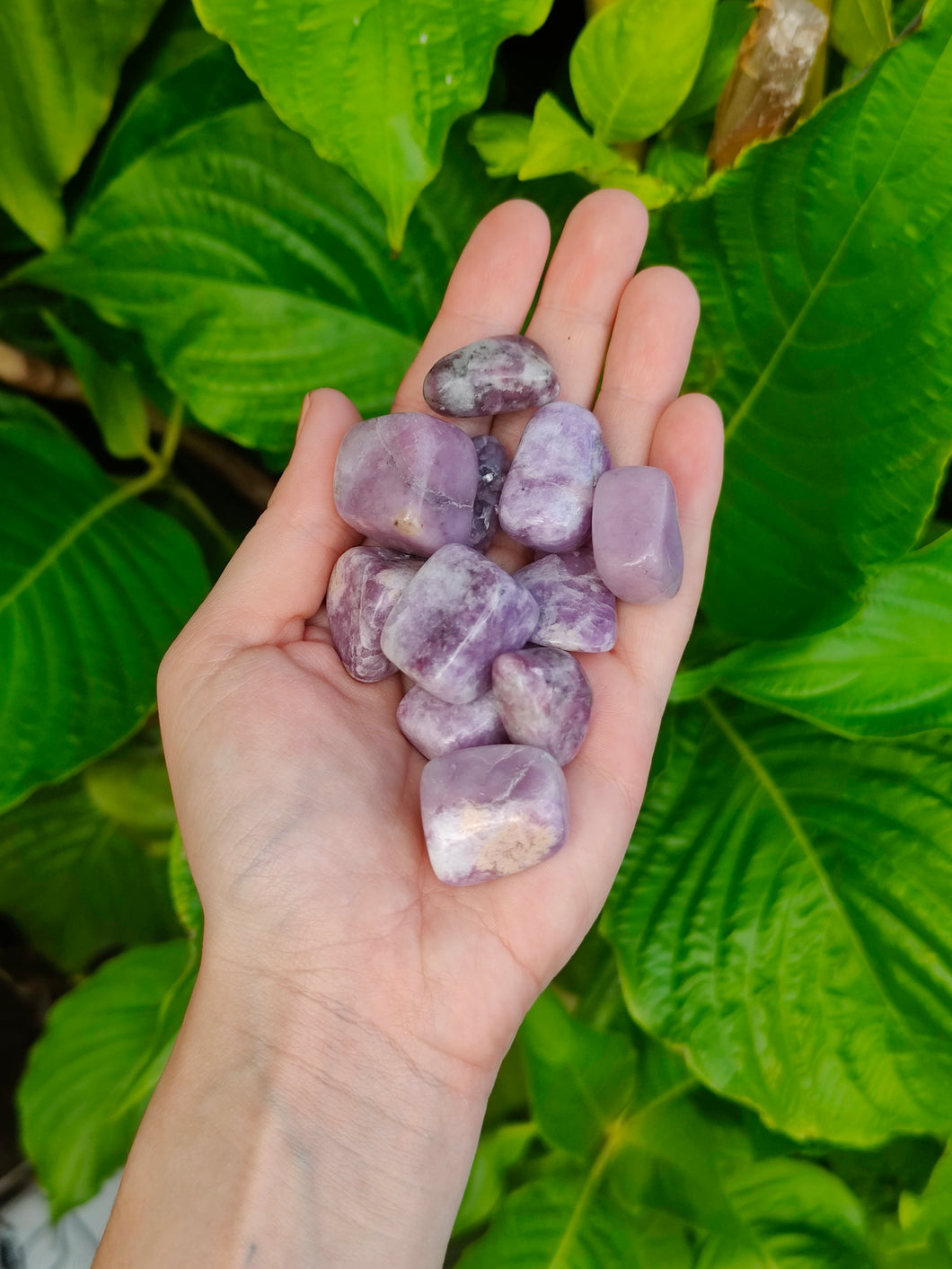 Lépidolite