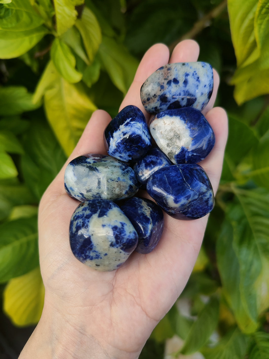 Sodalite