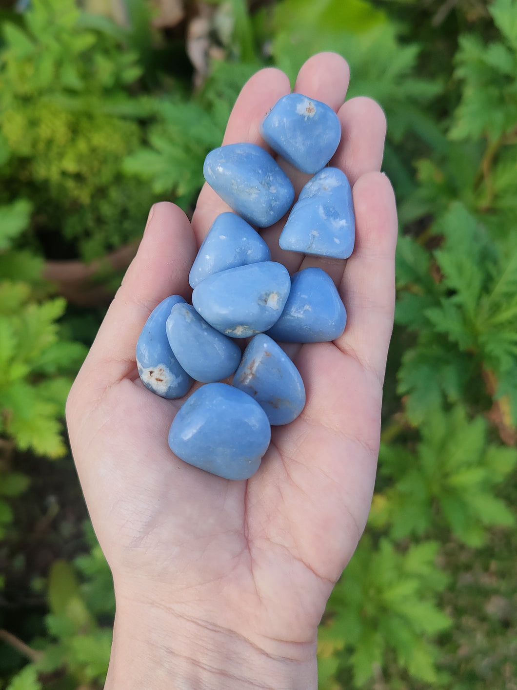 Angelite
