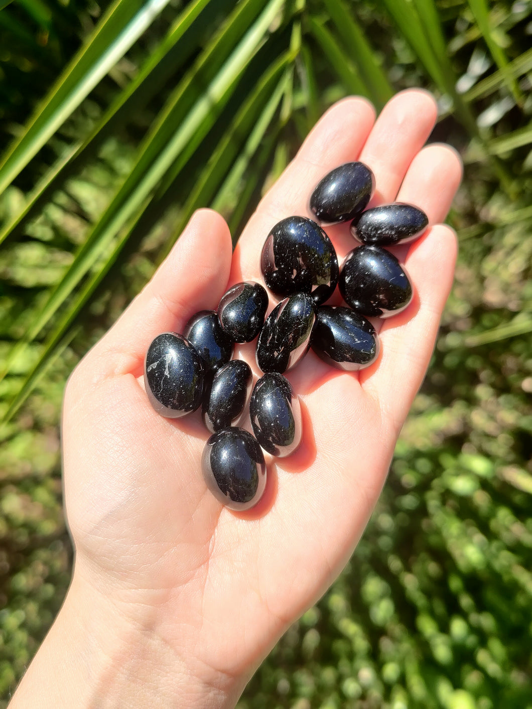 Tourmaline Noire