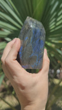 Charger et lire la vidéo dans la visionneuse de la Galerie, Labradorite • Forme A
