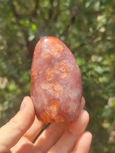 Charger l'image dans la galerie, Cornaline • Forme Polie
