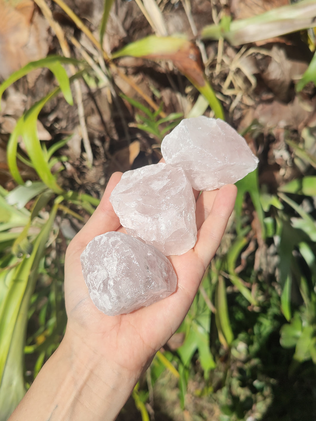 Quartz rose • Large (brute)