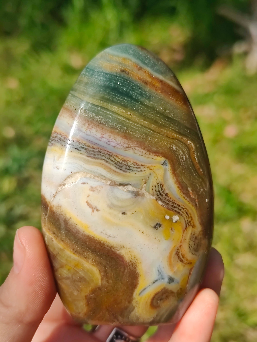 Jaspe Orbiculaire • Forme polie