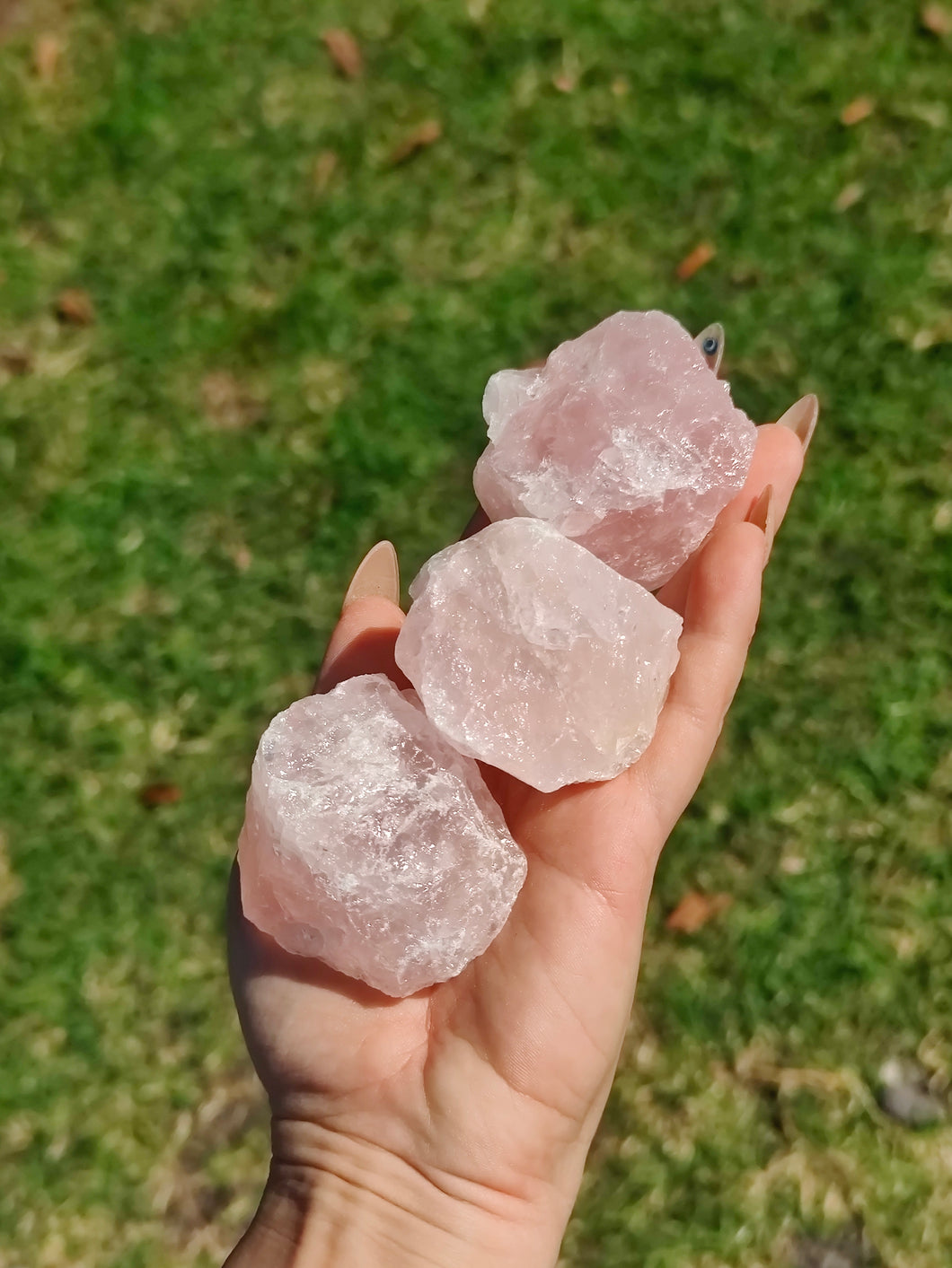 Quartz rose • Large
