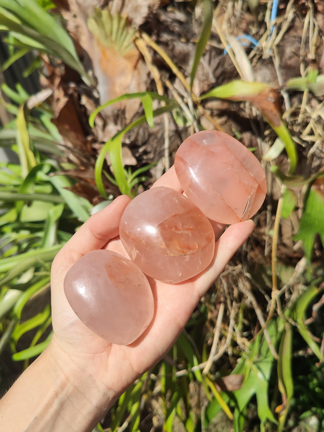 Quartz Hematoïde • Galets