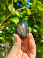 Charger l&#39;image dans la galerie, Obsidienne Dorée • Galets
