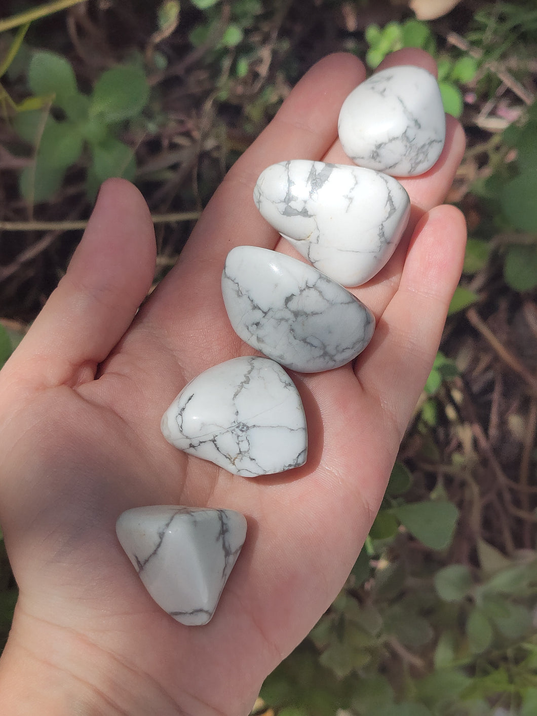 Howlite