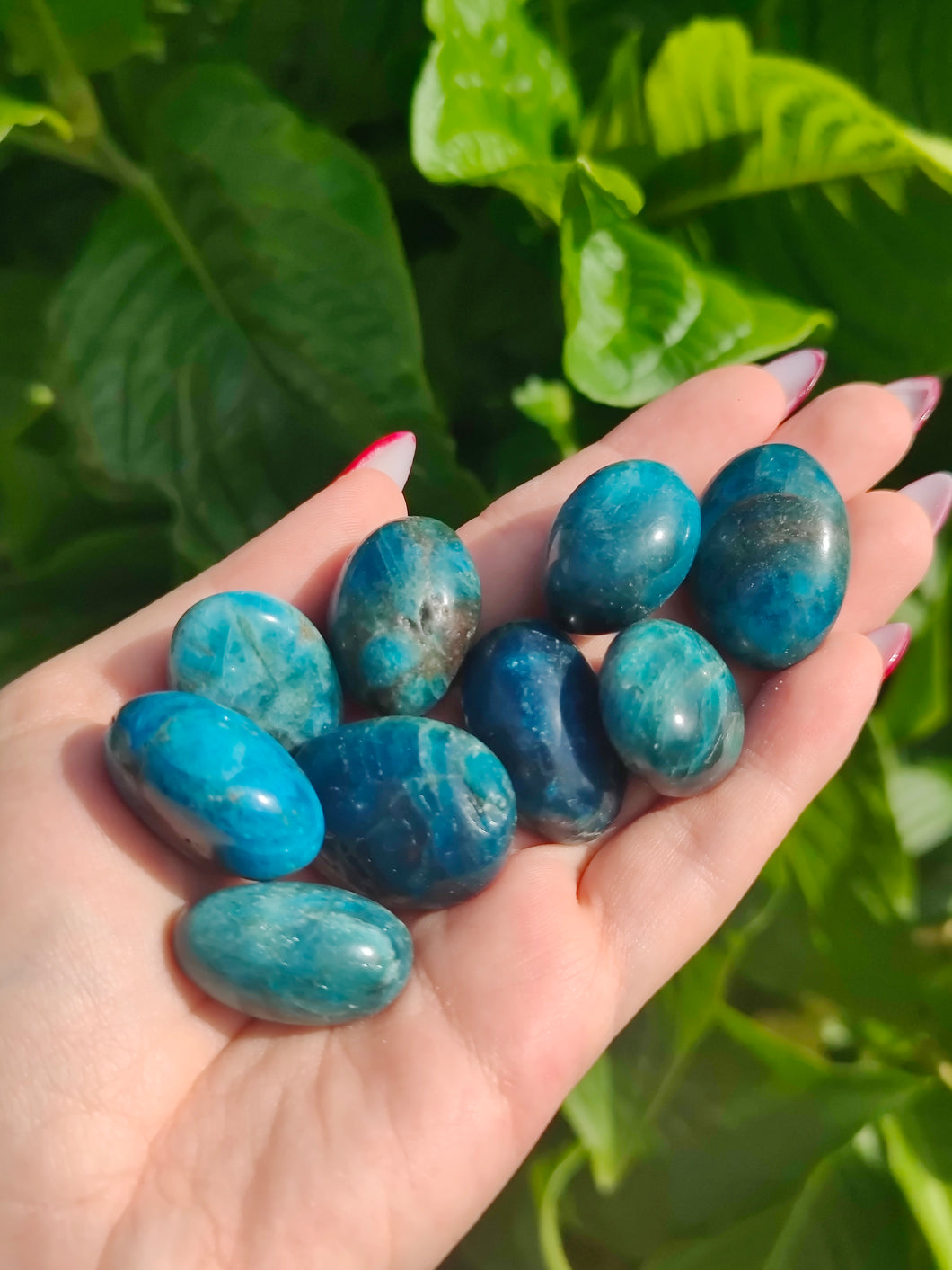 Apatite bleue