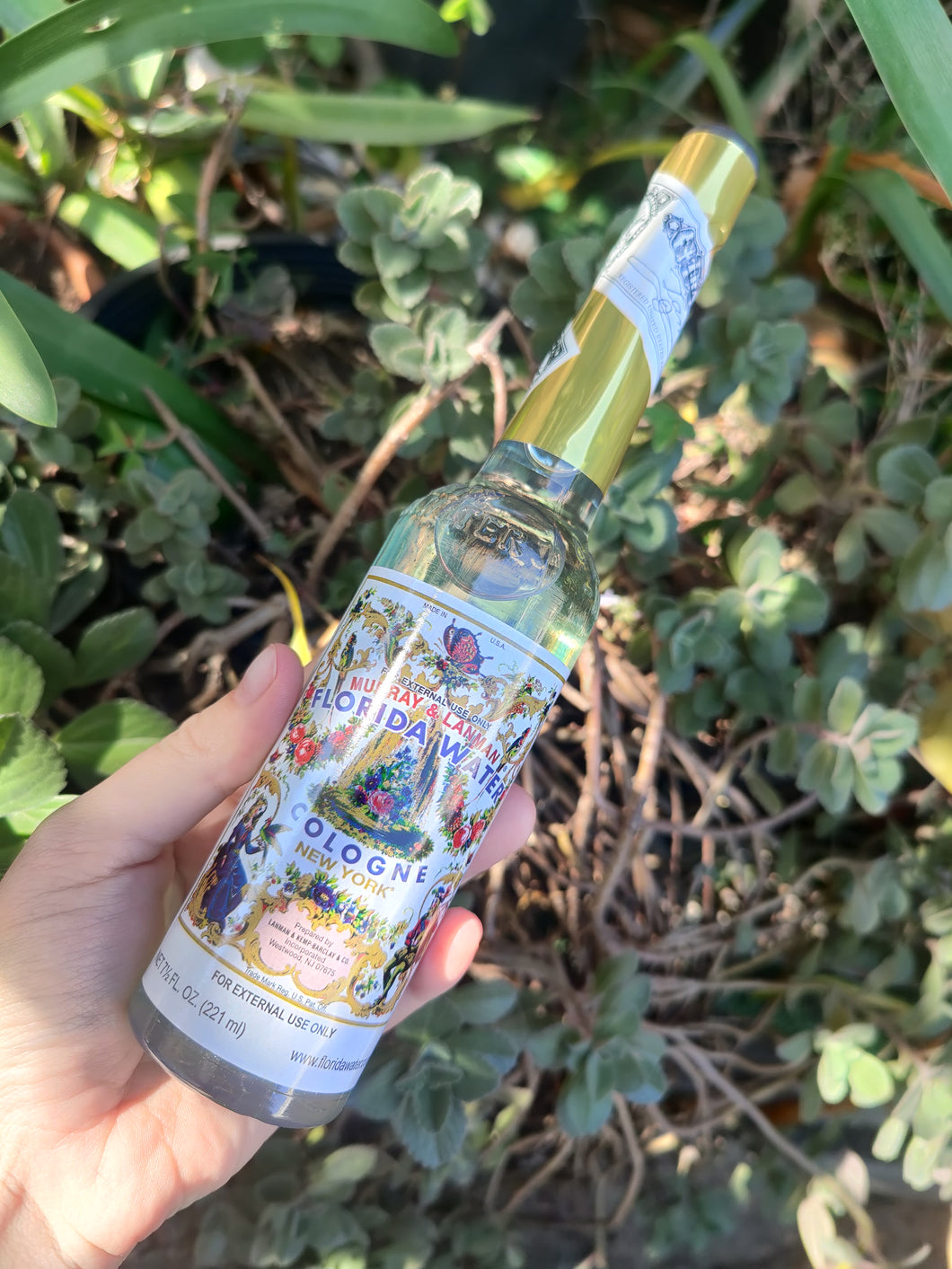 Eau de Floride (cologne)