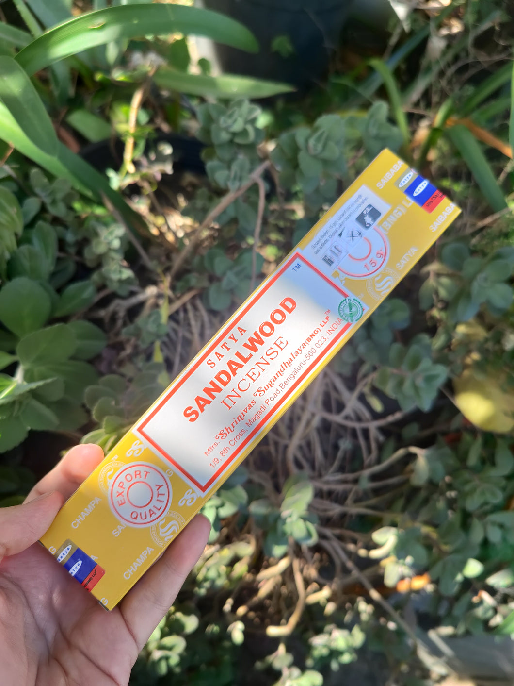 Encens Bois de Santal