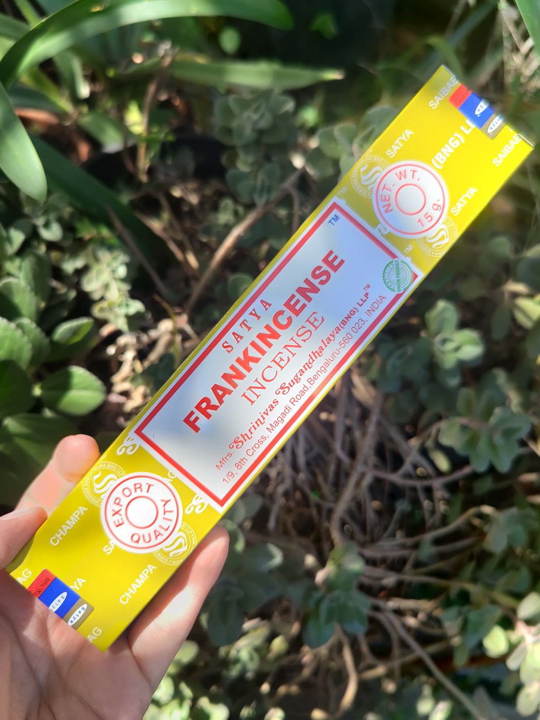 Encens Frankincense