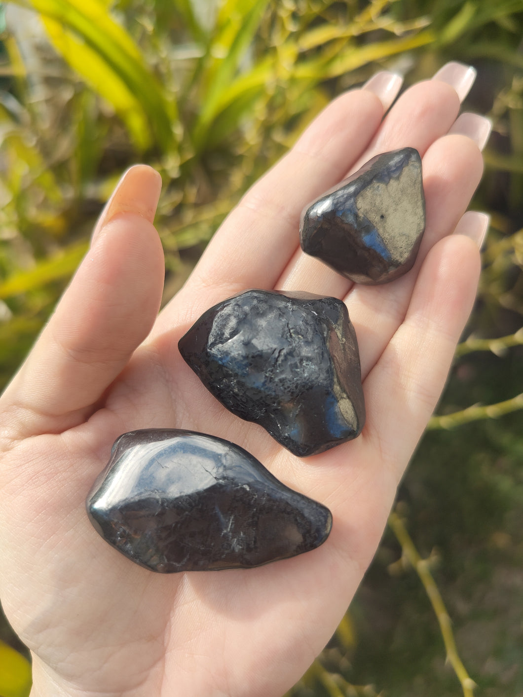 Shungite