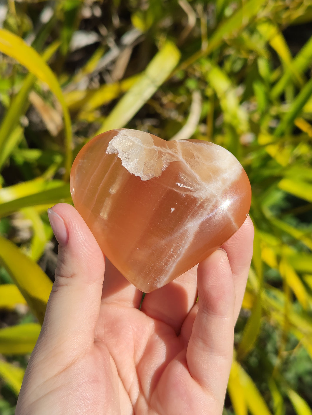 Cœur • Calcite Miel (A)
