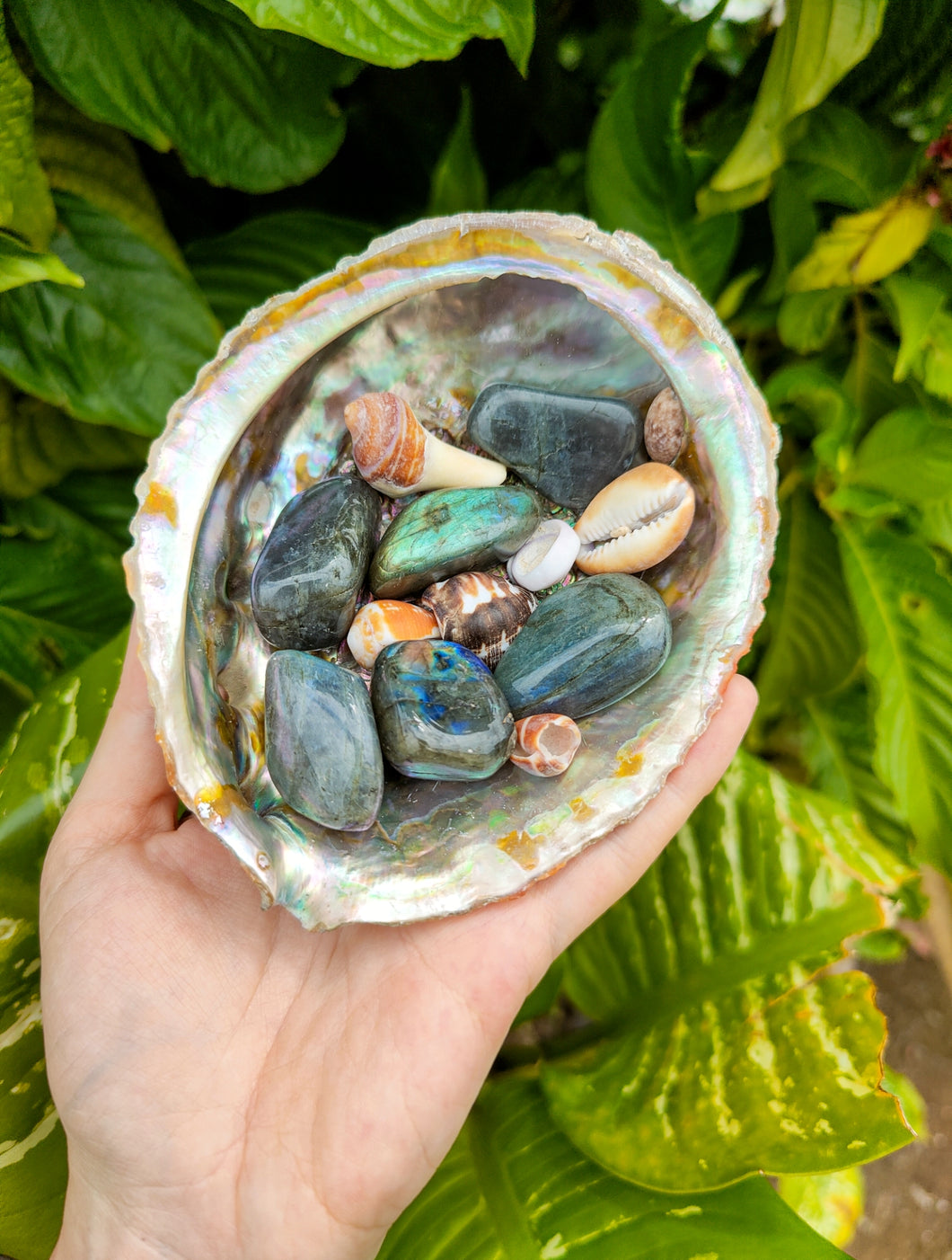 Labradorite